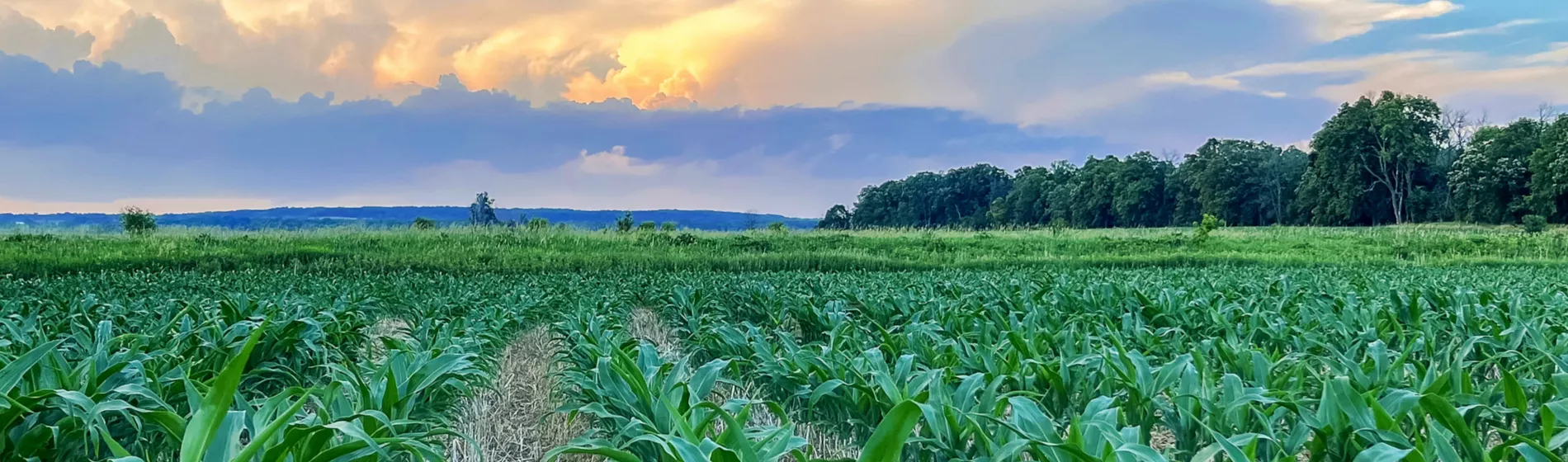 Tohumun Bereketi Toprakla Başlar